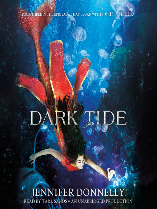 Title details for Dark Tide by Jennifer Donnelly - Wait list